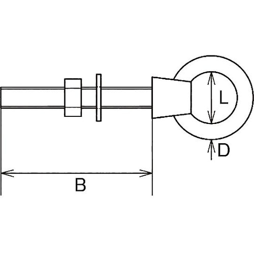 �����O�A�C�{���g