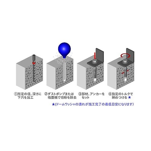 �Y�˂��A���J�[�i�Q�{