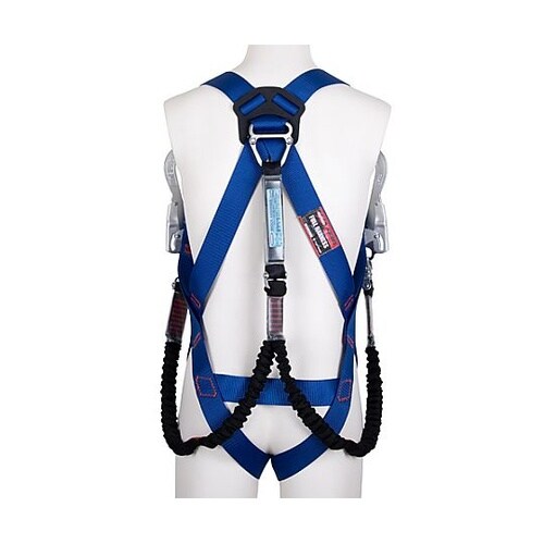 �ė����~�p���