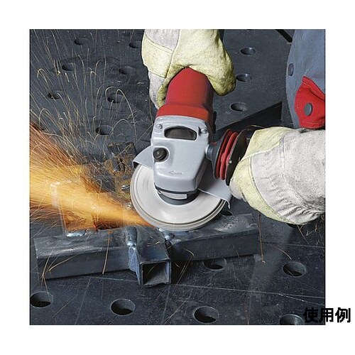 フラップディスク