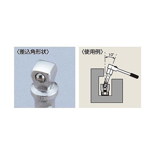 �G�N�X�e���V��