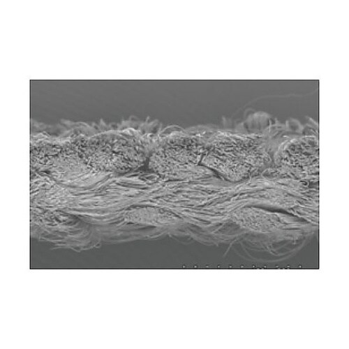 ���C�s���O��܁i�P�o�j