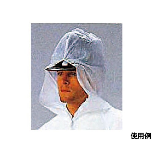 �g���̂Ėh�앞