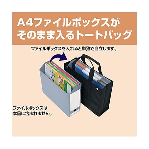 �I�t�B�X�p