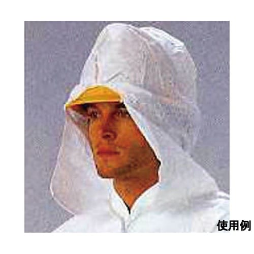 �g���̂Ėh�앞