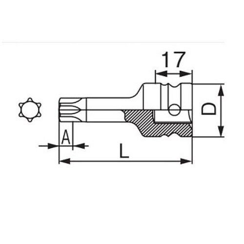 �m�s�������n