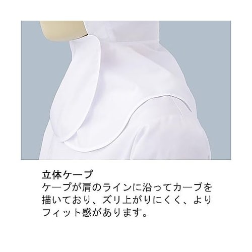 �t�[�h�i�c�o�t�j