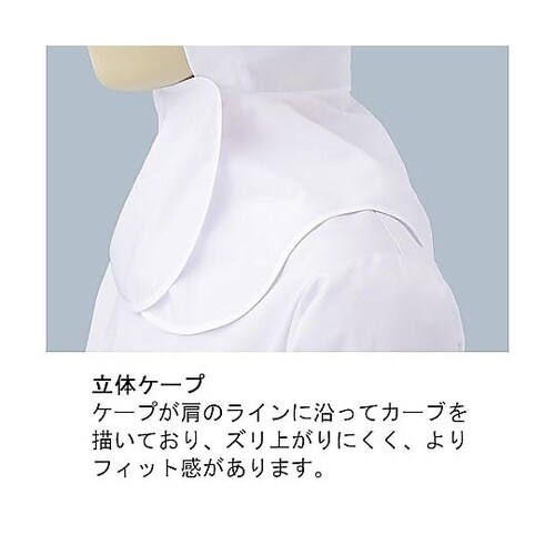 �t�[�h�i�c�o�t�j