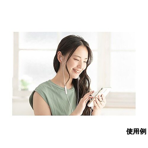 �e�����[�N�p�C���z���i�J�i���^