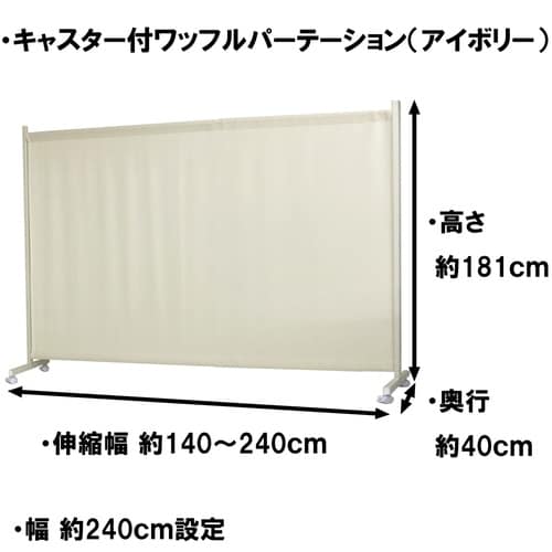 �L���X�^�[�t�����b�t���p�[�e�B�V����