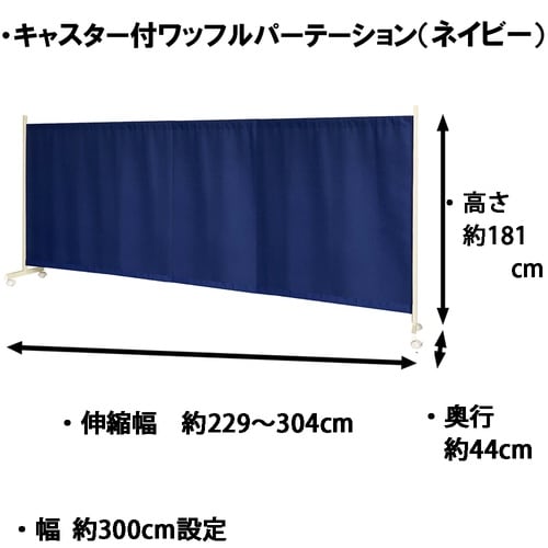 �L���X�^�[�t�����b�t���p�[�e�B�V����