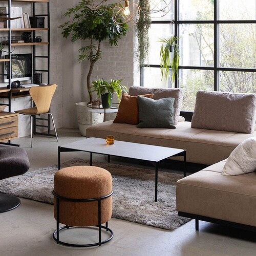 �X�c�[���@�J�v�X