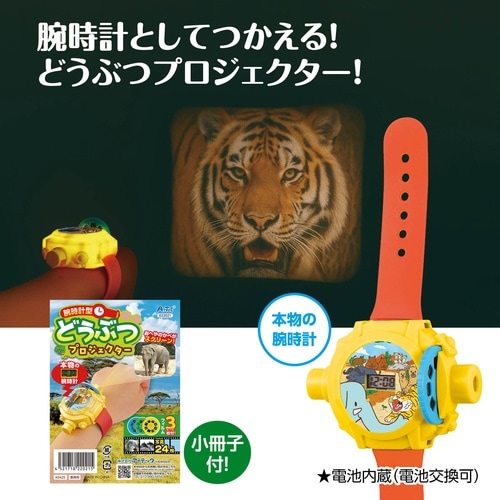 �A�j���[�V�����v���W�F�N�^�[�^�v���W�F�N�^�[