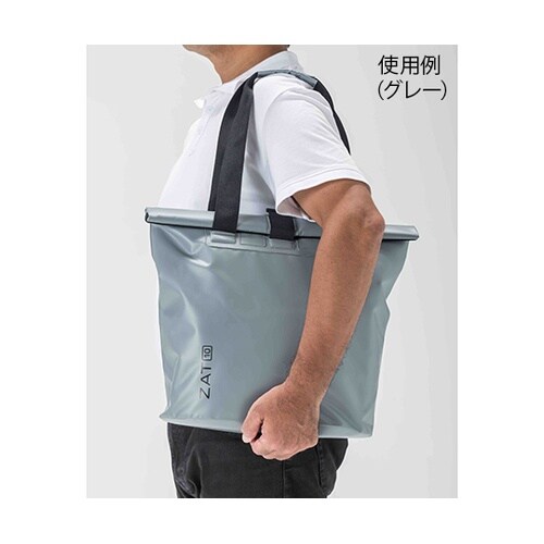 �h���o�b�O