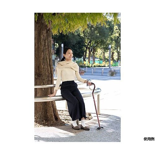 バンブーステッキオフセット多点杖