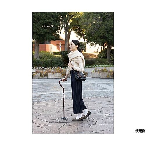 バンブーステッキオフセット多点杖