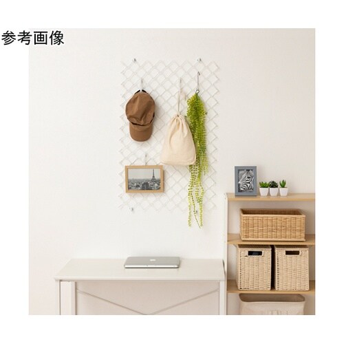 メッシュ ランバスメッシュ