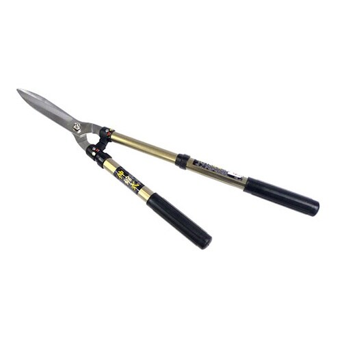 �A���~���L�k�X�e��������