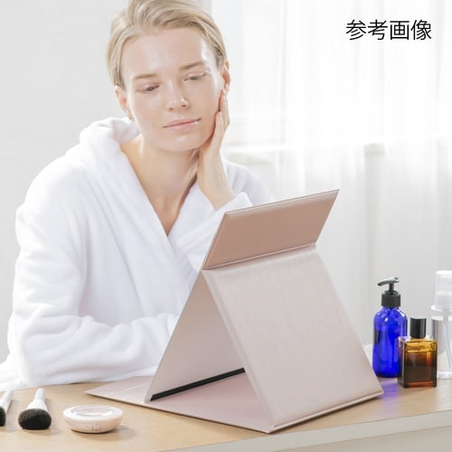 �v�����f���ܗ��i�s���A�~���[