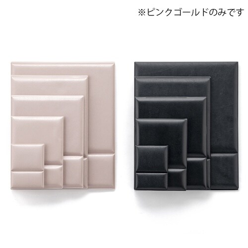 �v�����f���ܗ��i�s���A�~���[