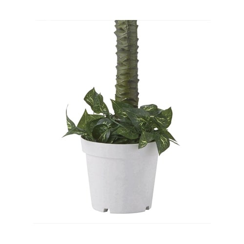 �t�F�C�N�O���[��