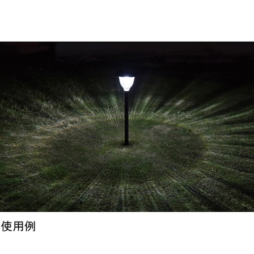 �\�[���[�K�[�f�����C�g