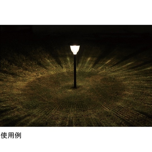 �\�[���[�K�[�f�����C�g