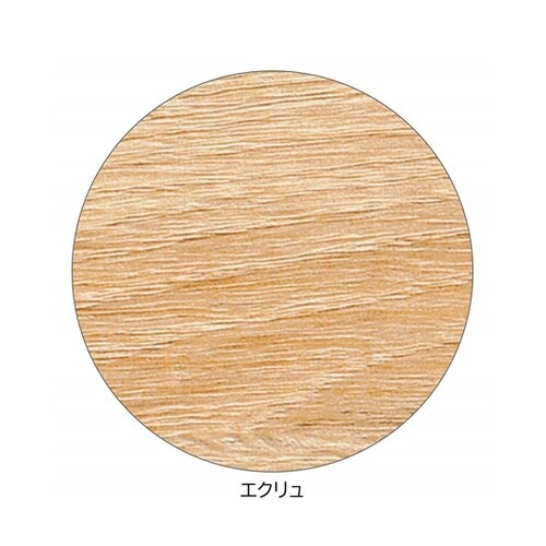 �X�`�[���r�R�̎��^�f�B�X�v���C