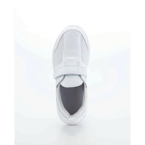 �V�����V���[�Y�@�z���C�g�@