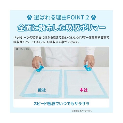 ���^�@�y�b�g�V�[�c