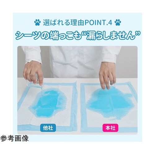 ���^�@�y�b�g�V�[�c