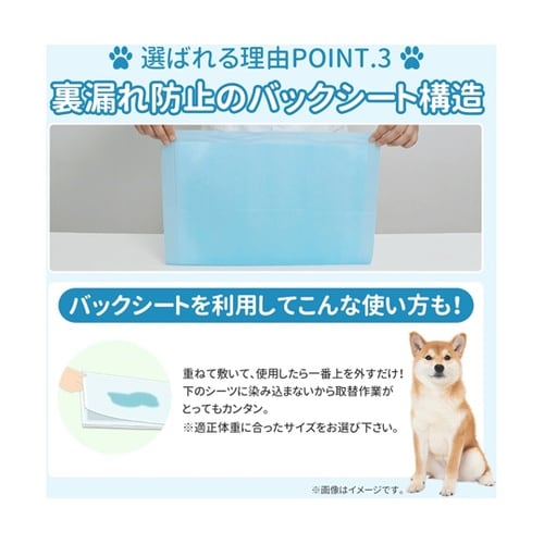 ���^�@�y�b�g�V�[�c