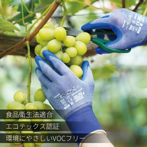 �j�g�����w������܁@�l���������w�T�R�W�@