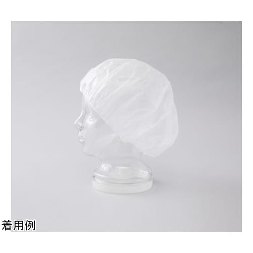 �q���L���b�v�i�f�B�X�|�j