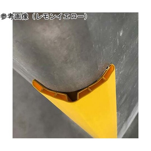 �R�[�i�[�K�[�h�@�A�C�{���[