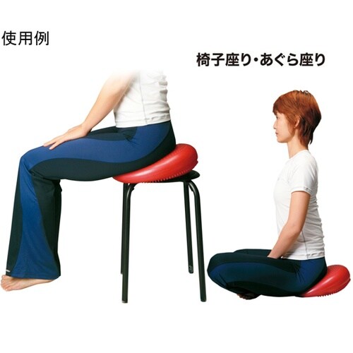 �o�����X�f�B�X�N�@