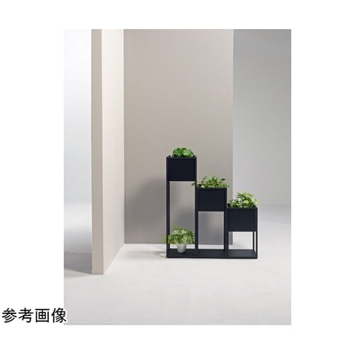 �t�����[�X�^���h