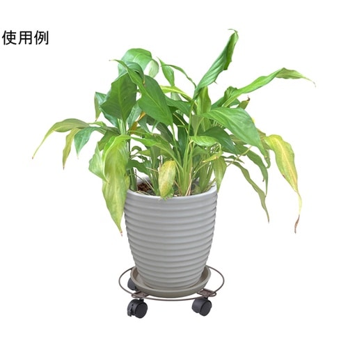 �R���e�i�L�����[�@