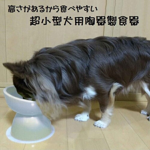 ペット用食器 陶器