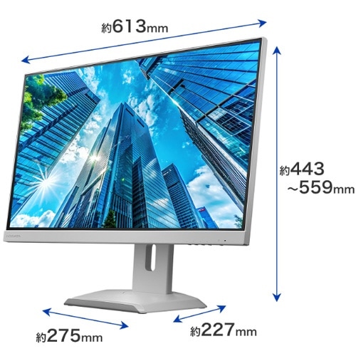 �Q�V�^���C�h�t���f�B�X�v���C