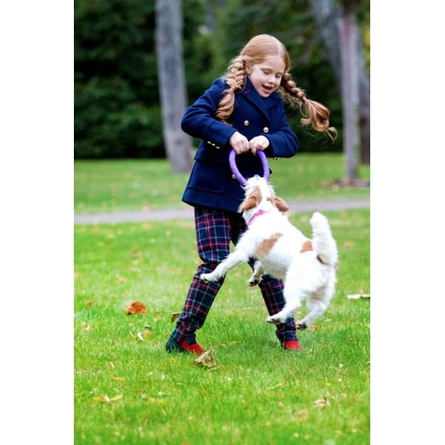 �o�t�k�k�d�q