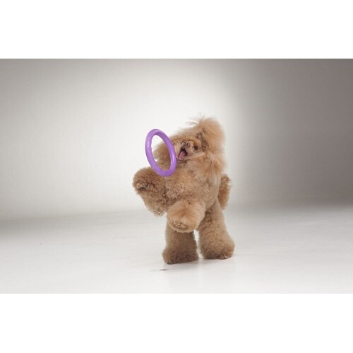 �o�t�k�k�d�q