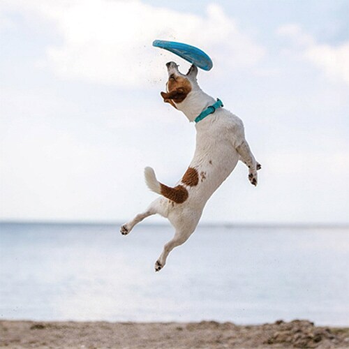 �o���������c����