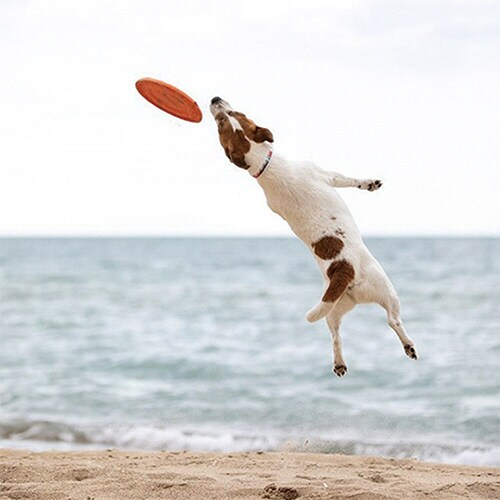 �o���������c����