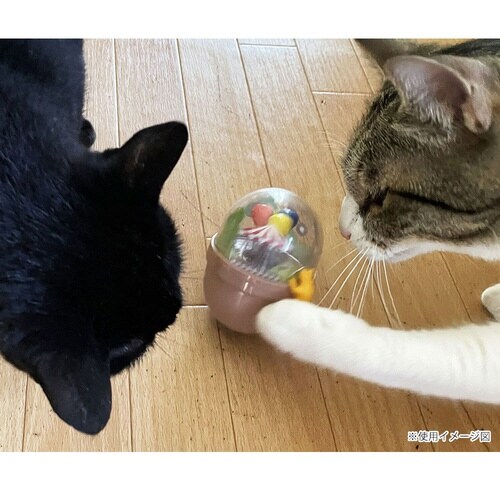 �G���V�b�N�@�L���b�g�^���u���[