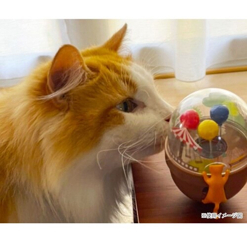 �G���V�b�N�@�L���b�g�^���u���[