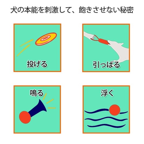 ループ ヴァリー