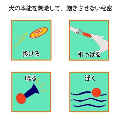 ループ ヴァリー