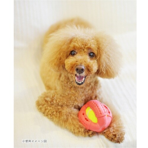 ���[�v�@�n�E���Y�@�N���X�{�[��