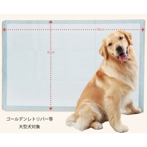 ���r�B�Ɩ��p�y�b�g�V�[�c�����^